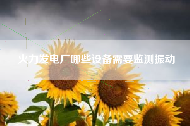 火力發(fā)電廠哪些設(shè)備需要監(jiān)測(cè)振動(dòng)