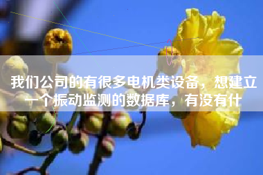 我們公司的有很多電機(jī)類設(shè)備，想建立一個(gè)振動(dòng)監(jiān)測(cè)的數(shù)據(jù)庫，有沒有什