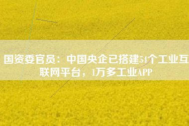 國資委官員：中國央企已搭建54個(gè)工業(yè)互聯(lián)網(wǎng)平臺，1萬多工業(yè)APP